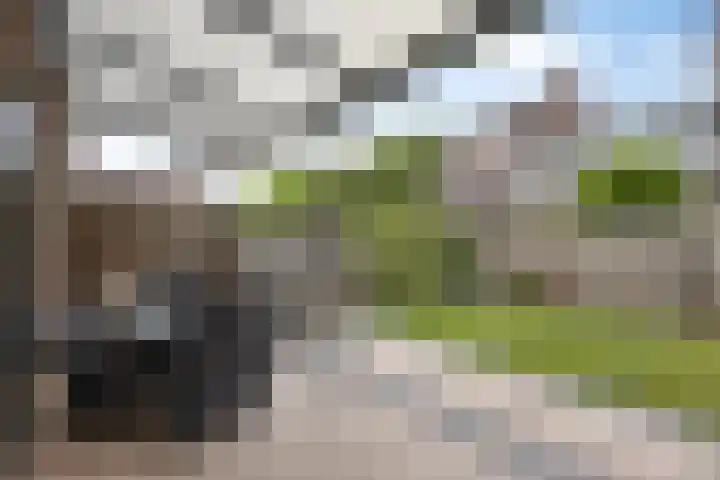 Kapelse Wiel 1 Lith thumbnail 16