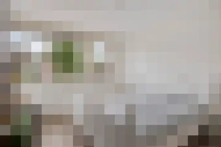 Kapelse Wiel 1 Lith thumbnail 26