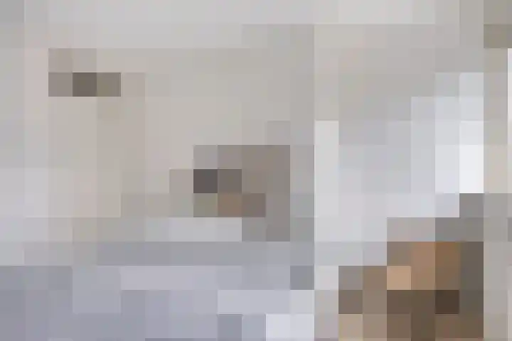 Kapelse Wiel 1 Lith thumbnail 27