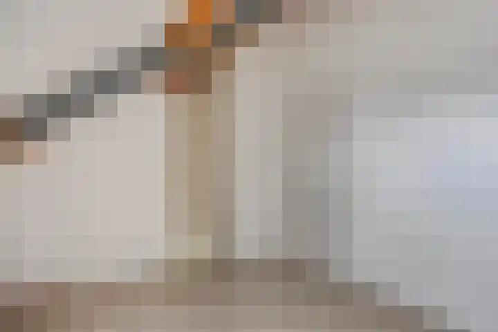 Kapelse Wiel 1 Lith thumbnail 29