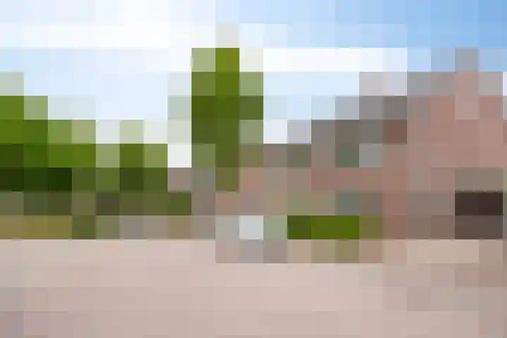 Kapelse Wiel 1 Lith thumbnail 35