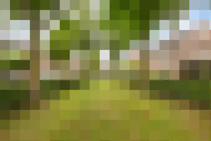 Kapelse Wiel 1 Lith thumbnail 36