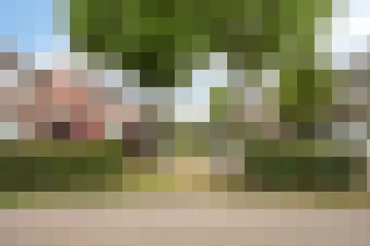 Kapelse Wiel 1 Lith thumbnail 37