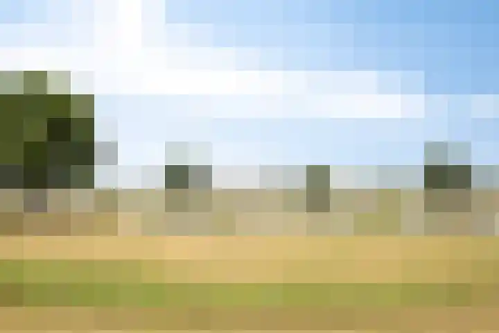 Kapelse Wiel 1 Lith thumbnail 38