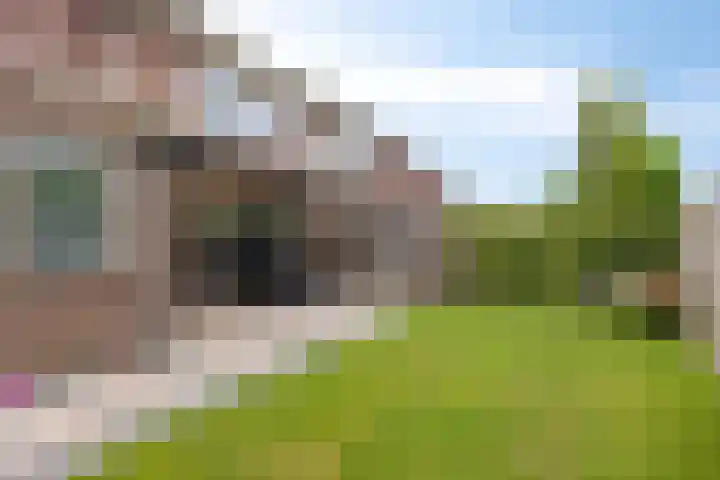 Kapelse Wiel 1 Lith thumbnail 4