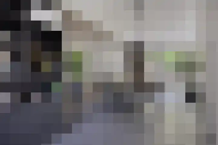 Kapelse Wiel 5 Lith thumbnail 10