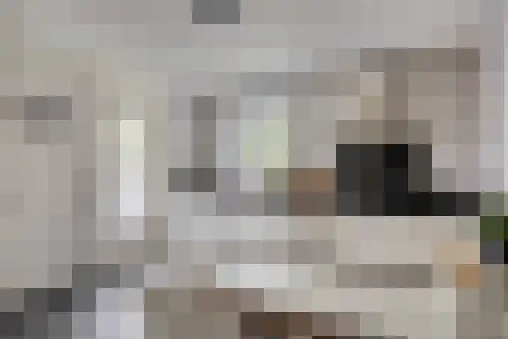 Kapelse Wiel 5 Lith thumbnail 11