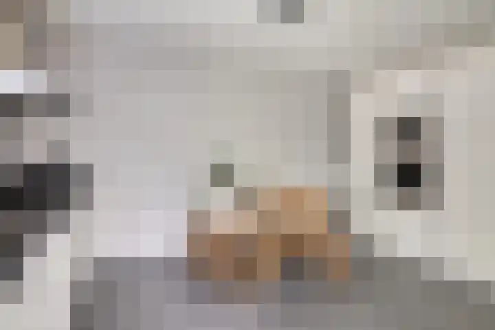 Kapelse Wiel 5 Lith thumbnail 12