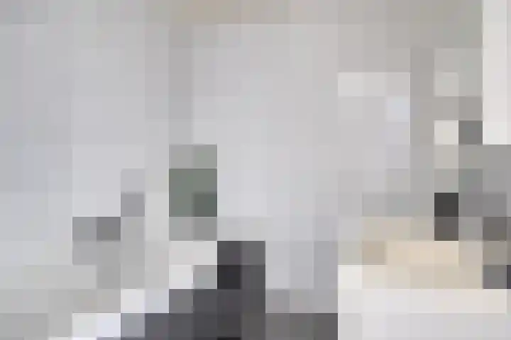 Kapelse Wiel 5 Lith thumbnail 19
