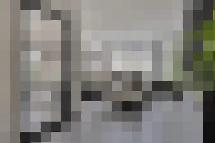 Kapelse Wiel 5 Lith foto 2