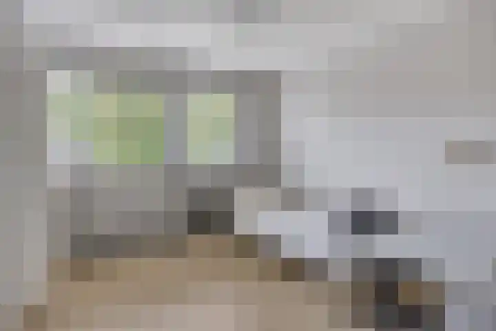 Kapelse Wiel 5 Lith thumbnail 20