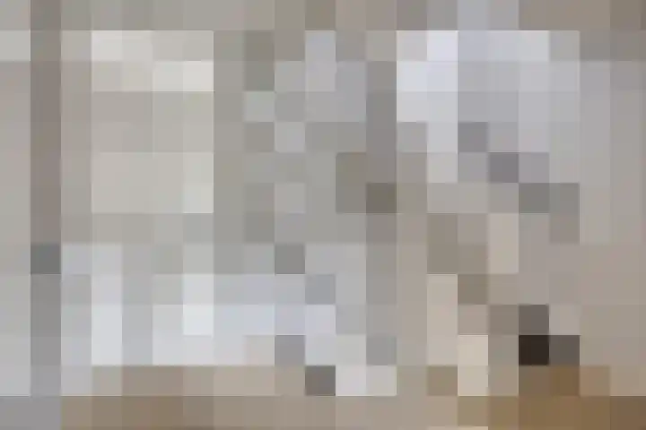 Kapelse Wiel 5 Lith thumbnail 22