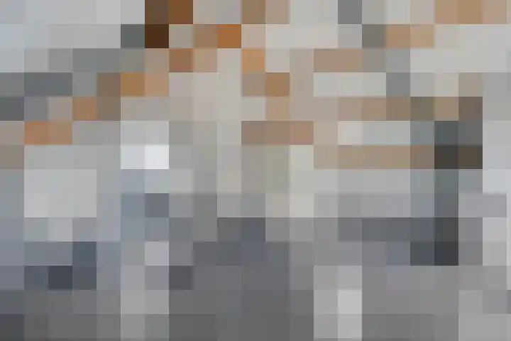 Kapelse Wiel 5 Lith thumbnail 24