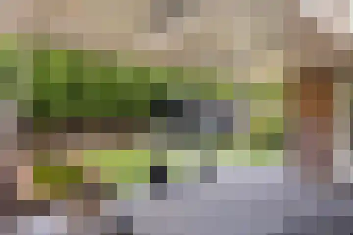Kapelse Wiel 5 Lith thumbnail 26