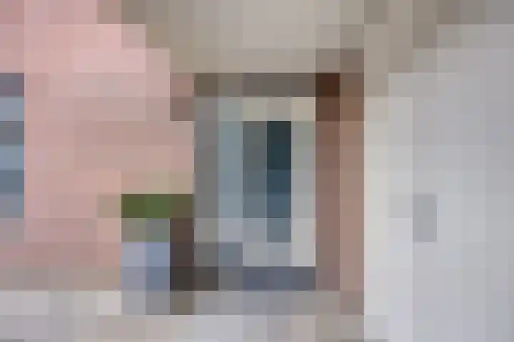 Kapelse Wiel 5 Lith thumbnail 27