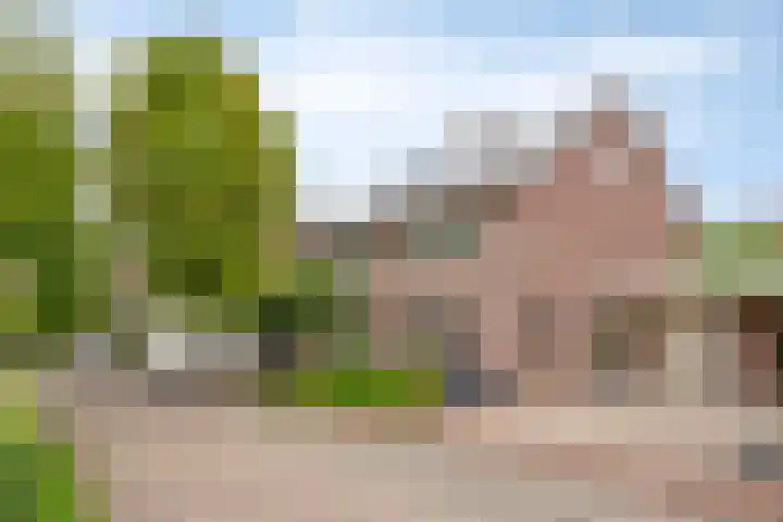 Kapelse Wiel 5 Lith thumbnail 29