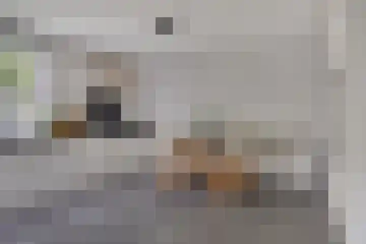 Kapelse Wiel 5 Lith foto 3