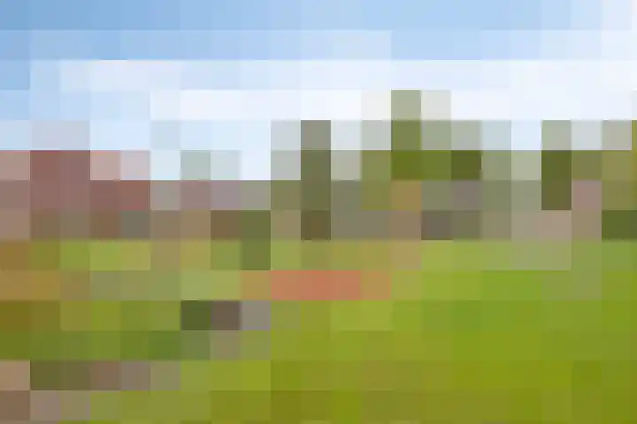 Kapelse Wiel 5 Lith thumbnail 30