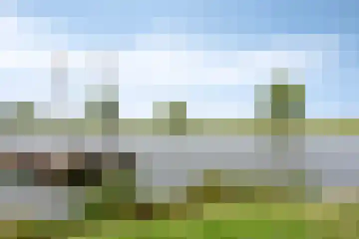 Kapelse Wiel 5 Lith thumbnail 31