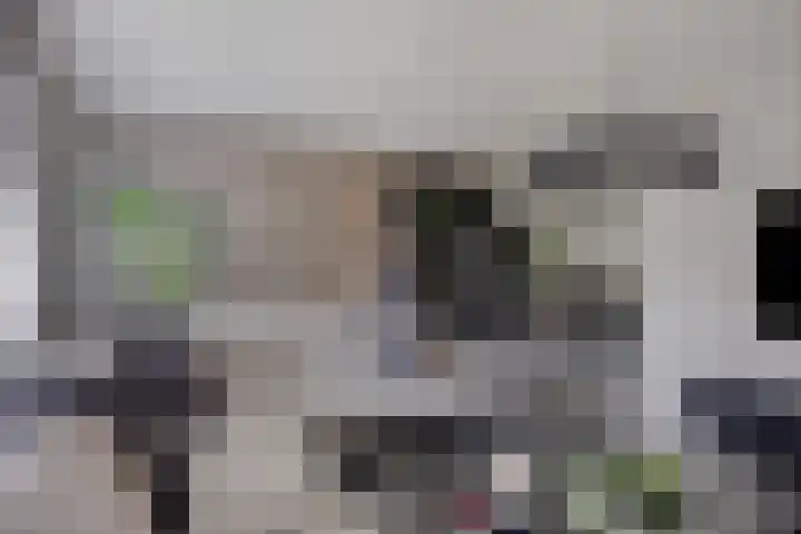 Kapelse Wiel 5 Lith thumbnail 4