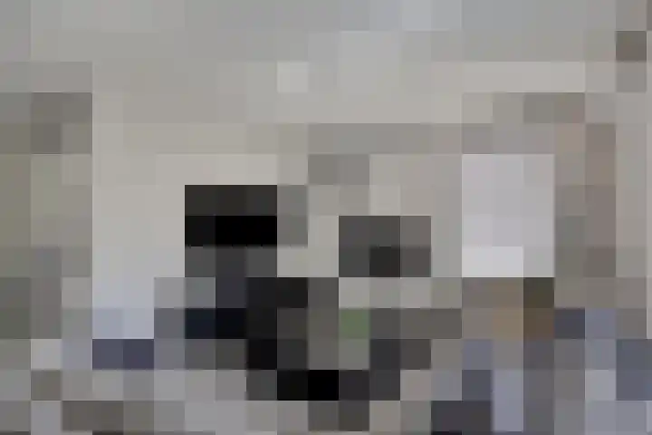 Kapelse Wiel 5 Lith thumbnail 6