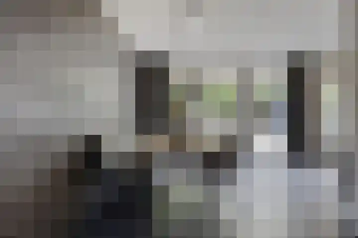 Kapelse Wiel 5 Lith thumbnail 9