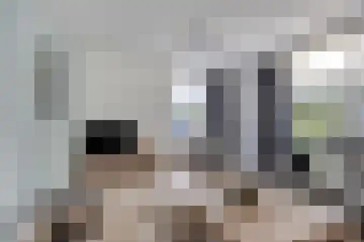 Kapelse Wiel 9 Lith thumbnail 12
