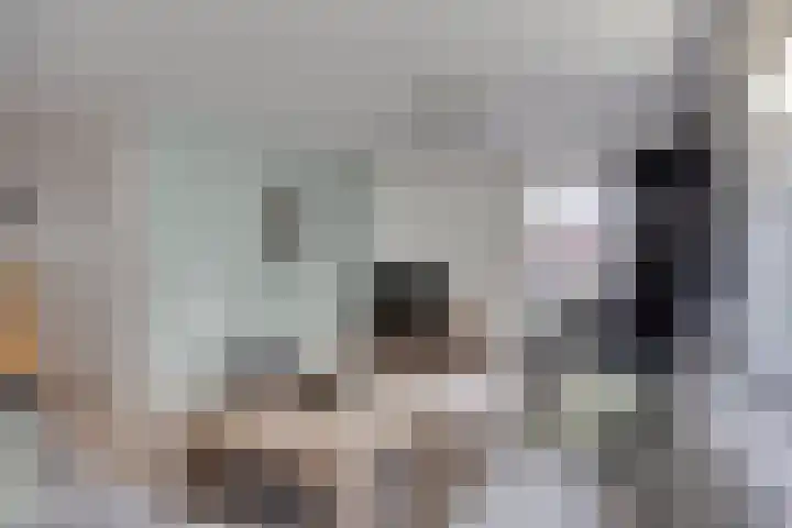 Kapelse Wiel 9 Lith thumbnail 14