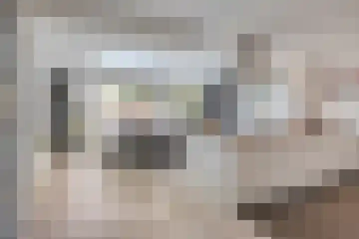 Kapelse Wiel 9 Lith thumbnail 17