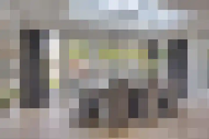 Kapelse Wiel 9 Lith thumbnail 18