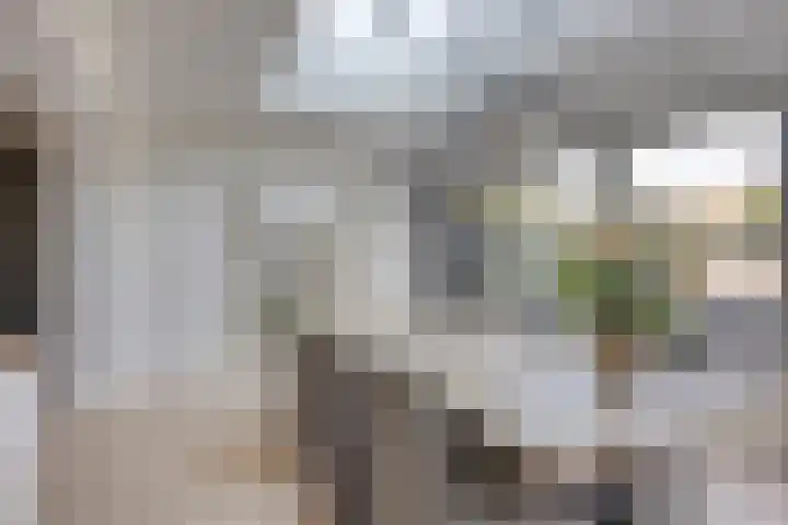 Kapelse Wiel 9 Lith thumbnail 19