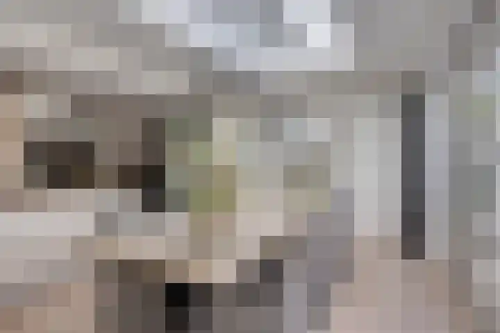 Kapelse Wiel 9 Lith thumbnail 20