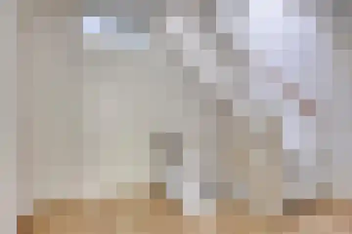 Kapelse Wiel 9 Lith thumbnail 30