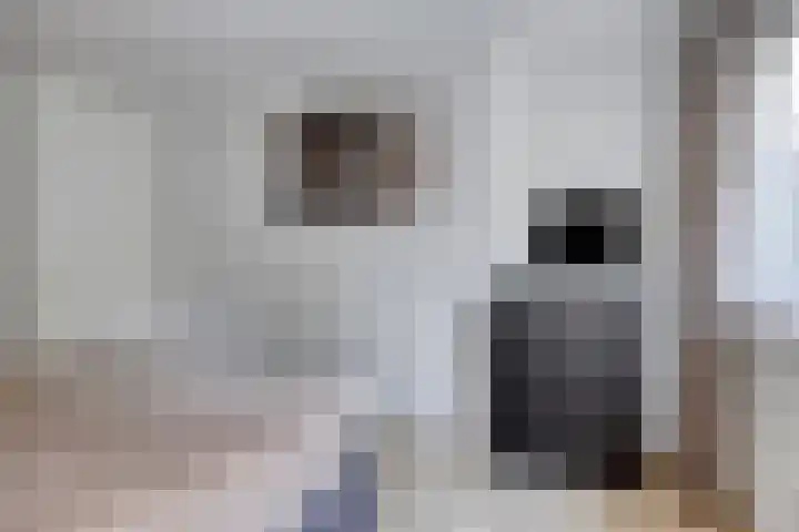 Kapelse Wiel 9 Lith thumbnail 34