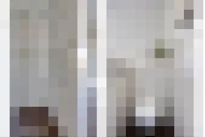 Kapelse Wiel 9 Lith thumbnail 39