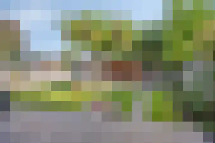 Kapelse Wiel 9 Lith thumbnail 4