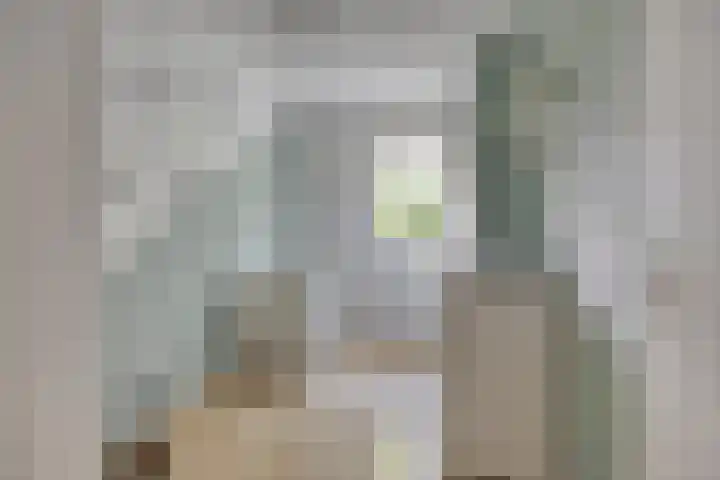 Kapelse Wiel 9 Lith thumbnail 42