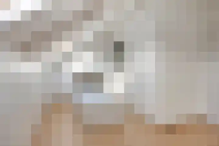 Kapelse Wiel 9 Lith thumbnail 43