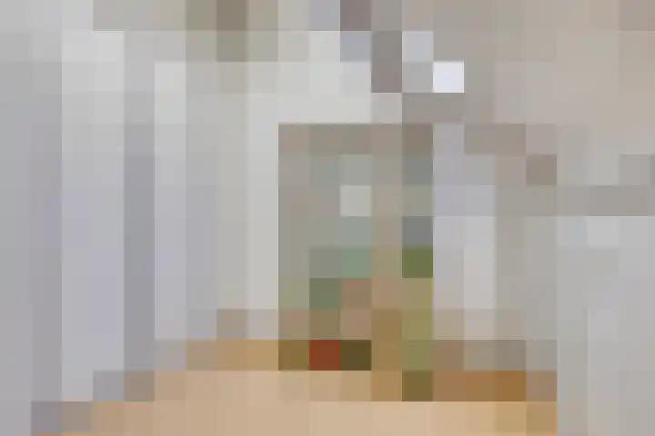 Kapelse Wiel 9 Lith thumbnail 48