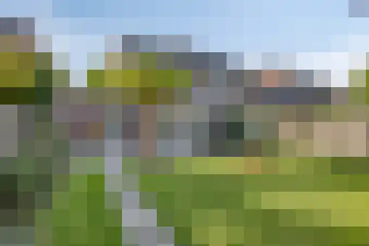 Kapelse Wiel 9 Lith thumbnail 51