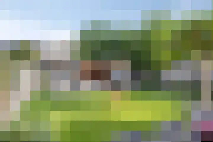 Kapelse Wiel 9 Lith thumbnail 52