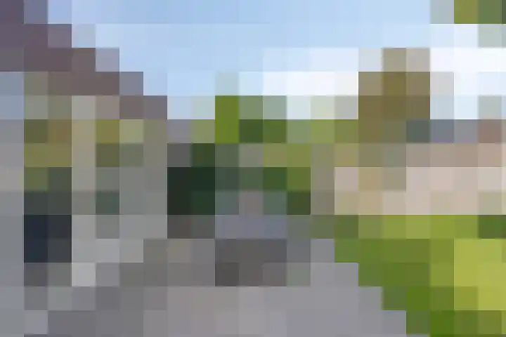 Kapelse Wiel 9 Lith thumbnail 53