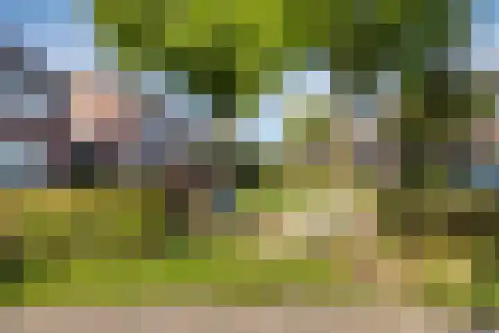 Kapelse Wiel 9 Lith thumbnail 56