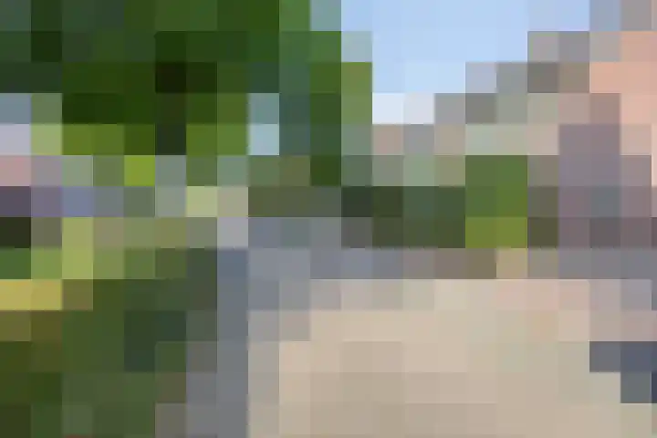 Kapelse Wiel 9 Lith thumbnail 7