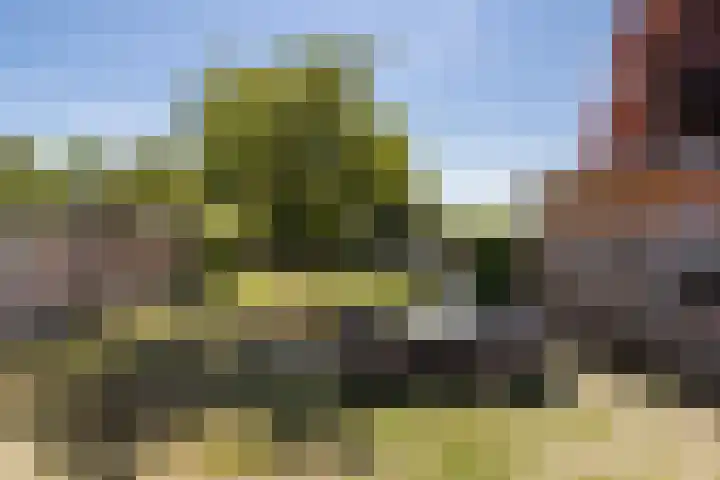 Kapelsepad 30 Lopikerkapel thumbnail 20