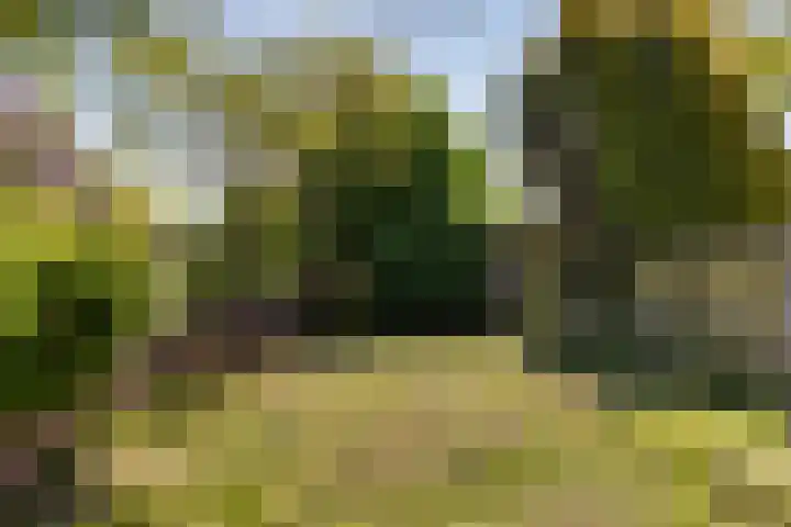 Kapelsepad 30 Lopikerkapel thumbnail 21
