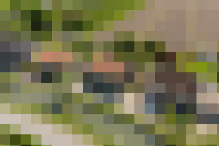 Kapelsepad 30 Lopikerkapel thumbnail 40
