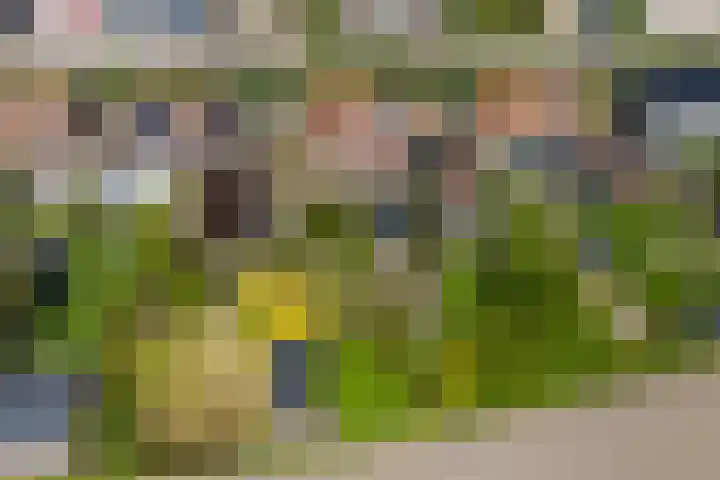 Kapelsepad 30 Lopikerkapel thumbnail 41