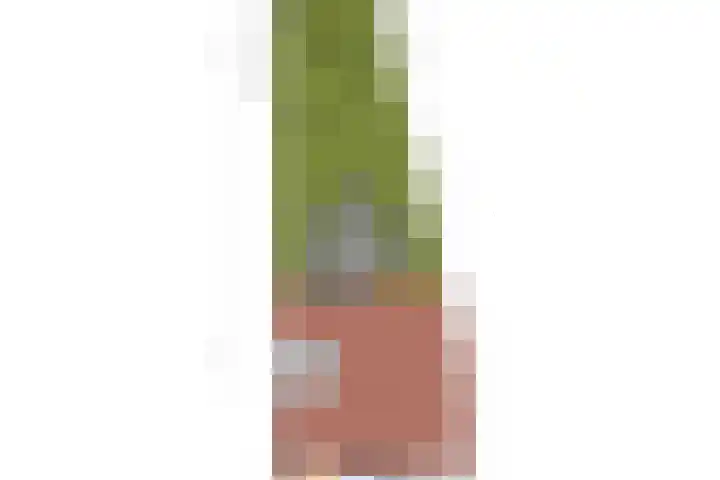 Kapelsepad 30 Lopikerkapel thumbnail 42