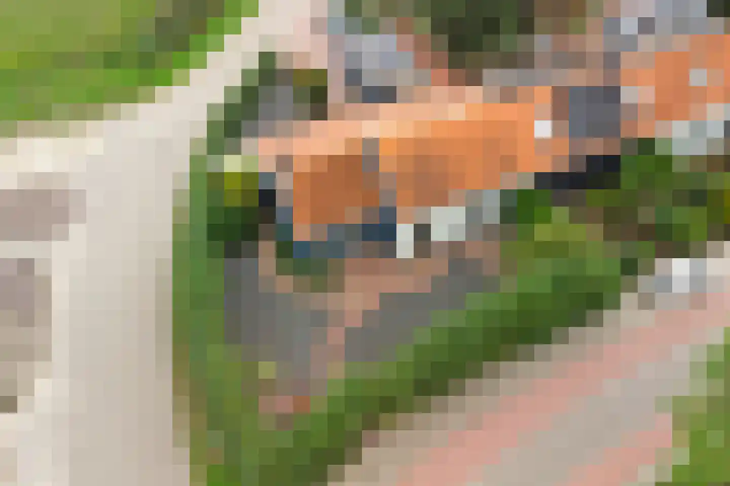 Kapelseweg 63 Kloetinge thumbnail 50